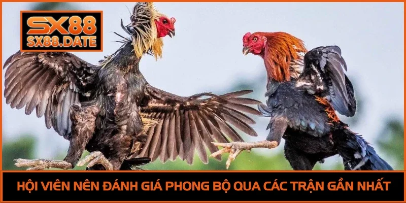 Hội viên nên đánh giá phong bộ qua các trận gần nhất